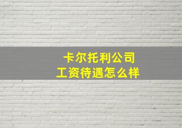 卡尔托利公司工资待遇怎么样