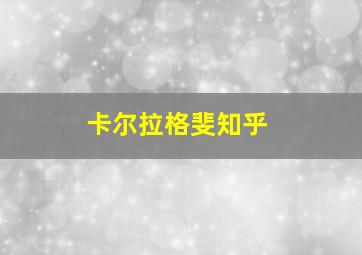 卡尔拉格斐知乎