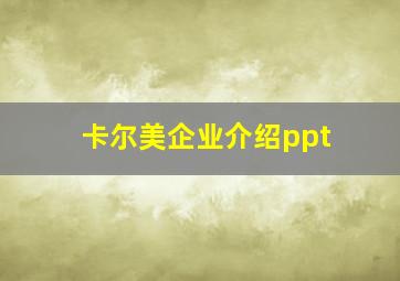 卡尔美企业介绍ppt