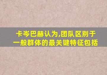 卡岑巴赫认为,团队区别于一般群体的最关键特征包括