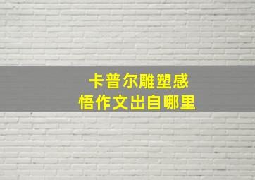 卡普尔雕塑感悟作文岀自哪里