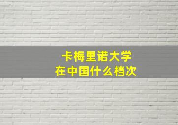 卡梅里诺大学在中国什么档次