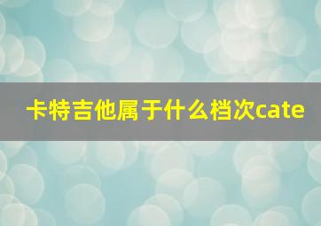 卡特吉他属于什么档次cate