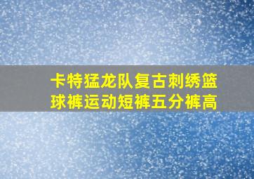 卡特猛龙队复古刺绣篮球裤运动短裤五分裤高