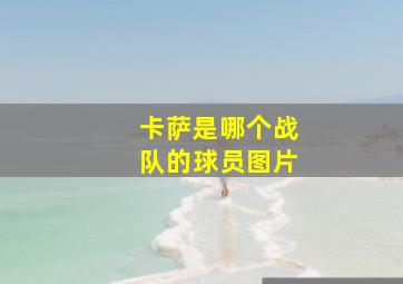 卡萨是哪个战队的球员图片