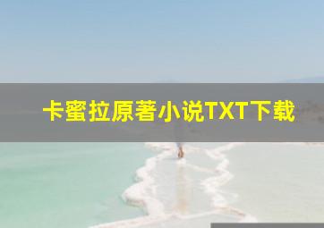 卡蜜拉原著小说TXT下载