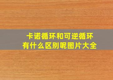 卡诺循环和可逆循环有什么区别呢图片大全