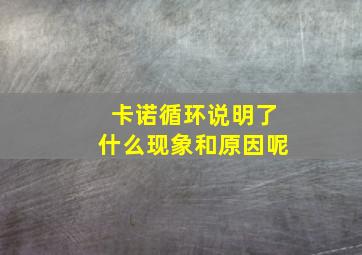 卡诺循环说明了什么现象和原因呢