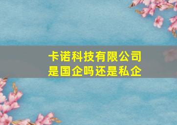 卡诺科技有限公司是国企吗还是私企