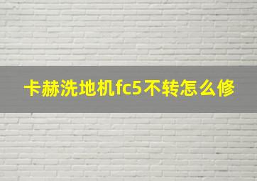 卡赫洗地机fc5不转怎么修