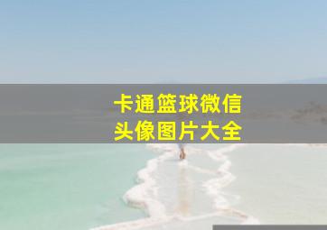 卡通篮球微信头像图片大全