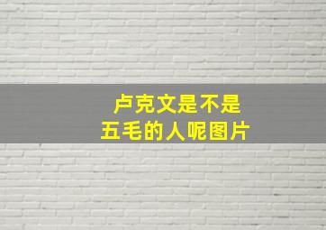 卢克文是不是五毛的人呢图片