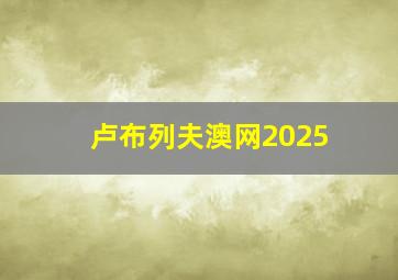 卢布列夫澳网2025