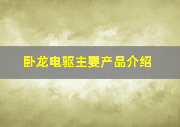 卧龙电驱主要产品介绍