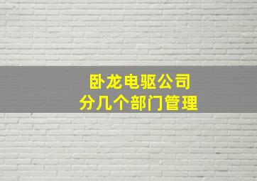 卧龙电驱公司分几个部门管理