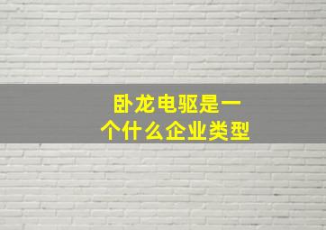 卧龙电驱是一个什么企业类型