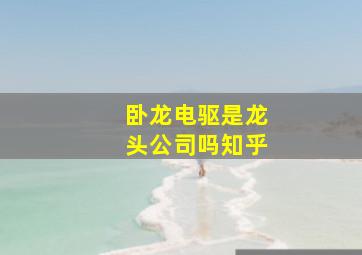 卧龙电驱是龙头公司吗知乎