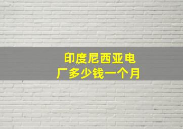 印度尼西亚电厂多少钱一个月