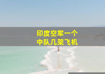 印度空军一个中队几架飞机