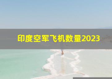 印度空军飞机数量2023