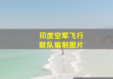 印度空军飞行联队编制图片