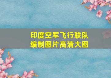 印度空军飞行联队编制图片高清大图