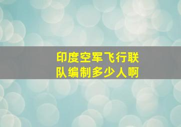 印度空军飞行联队编制多少人啊