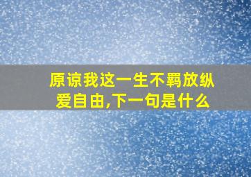 原谅我这一生不羁放纵爱自由,下一句是什么