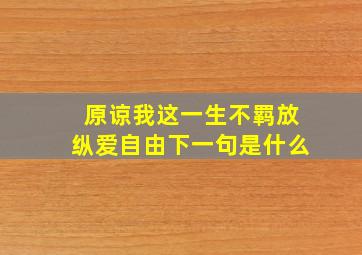 原谅我这一生不羁放纵爱自由下一句是什么