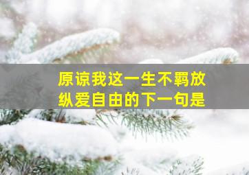 原谅我这一生不羁放纵爱自由的下一句是