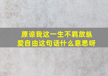 原谅我这一生不羁放纵爱自由这句话什么意思呀