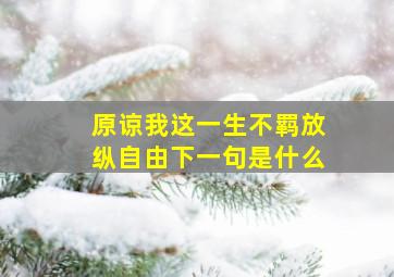 原谅我这一生不羁放纵自由下一句是什么