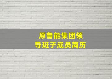 原鲁能集团领导班子成员简历