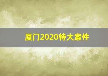 厦门2020特大案件