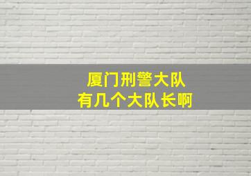 厦门刑警大队有几个大队长啊