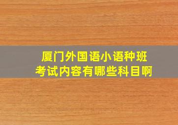 厦门外国语小语种班考试内容有哪些科目啊