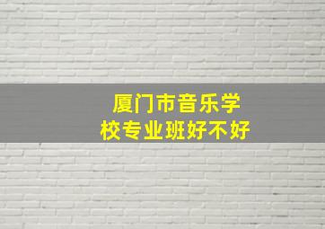 厦门市音乐学校专业班好不好