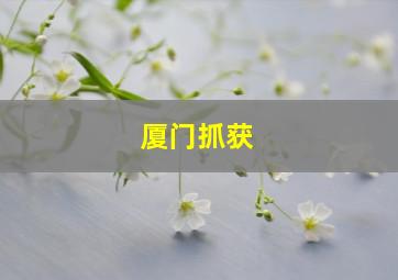 厦门抓获