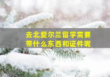 去北爱尔兰留学需要带什么东西和证件呢