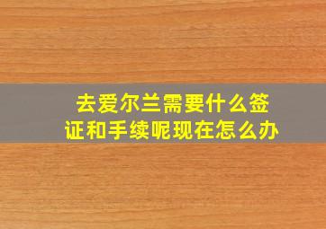 去爱尔兰需要什么签证和手续呢现在怎么办