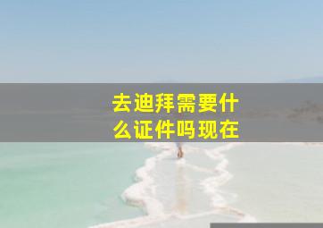 去迪拜需要什么证件吗现在