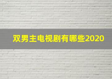 双男主电视剧有哪些2020