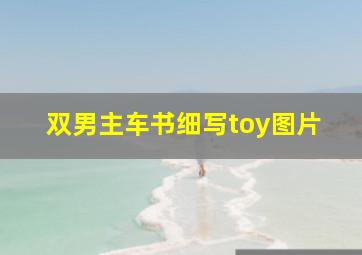 双男主车书细写toy图片