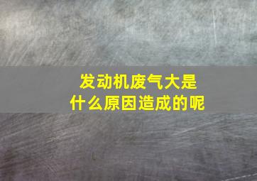 发动机废气大是什么原因造成的呢