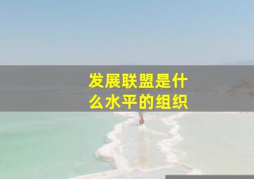 发展联盟是什么水平的组织