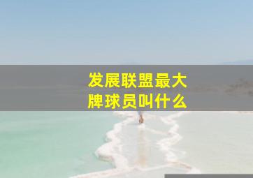 发展联盟最大牌球员叫什么