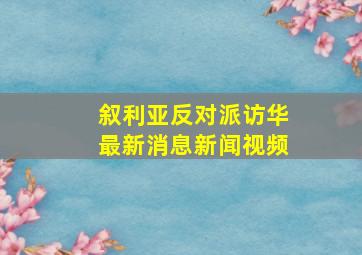 叙利亚反对派访华最新消息新闻视频