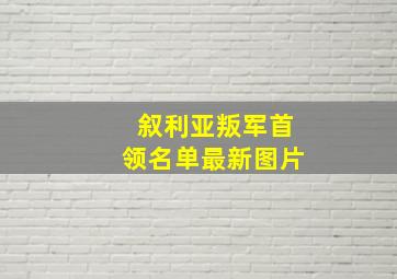 叙利亚叛军首领名单最新图片