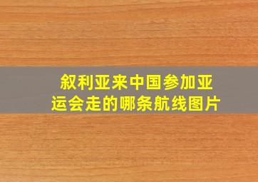 叙利亚来中国参加亚运会走的哪条航线图片