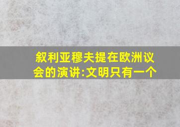 叙利亚穆夫提在欧洲议会的演讲:文明只有一个